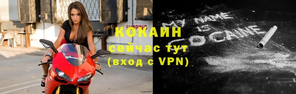 крисы Покачи
