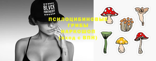 крисы Покачи